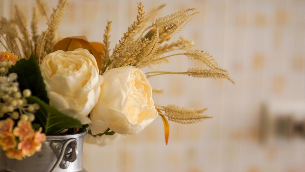Bed & Breakfast La Pilona Bagnolo San Vito エクステリア 写真